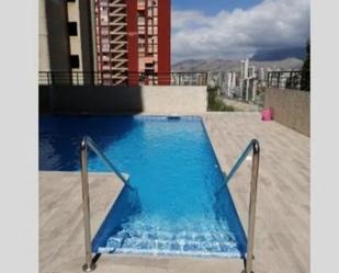 Swimming pool of Flat to rent in Benidorm  with Air Conditioner