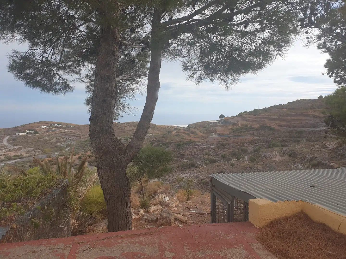 Finca rústica en venta en Calle Barranco, 11, Felix
