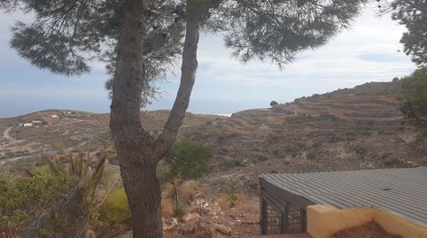 Foto 4 de Finca rústica en venta en Calle Barranco, 11, Felix, Almería