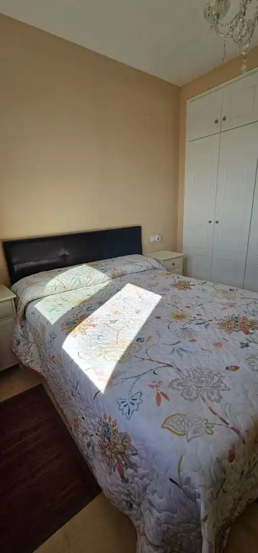 Apartment mit Pool zum Verkauf in Centro Urbano, imagen 17
