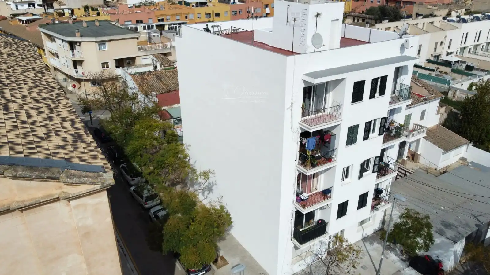 Immobles singulars en venda a CALLE SON SALES, imagen 3