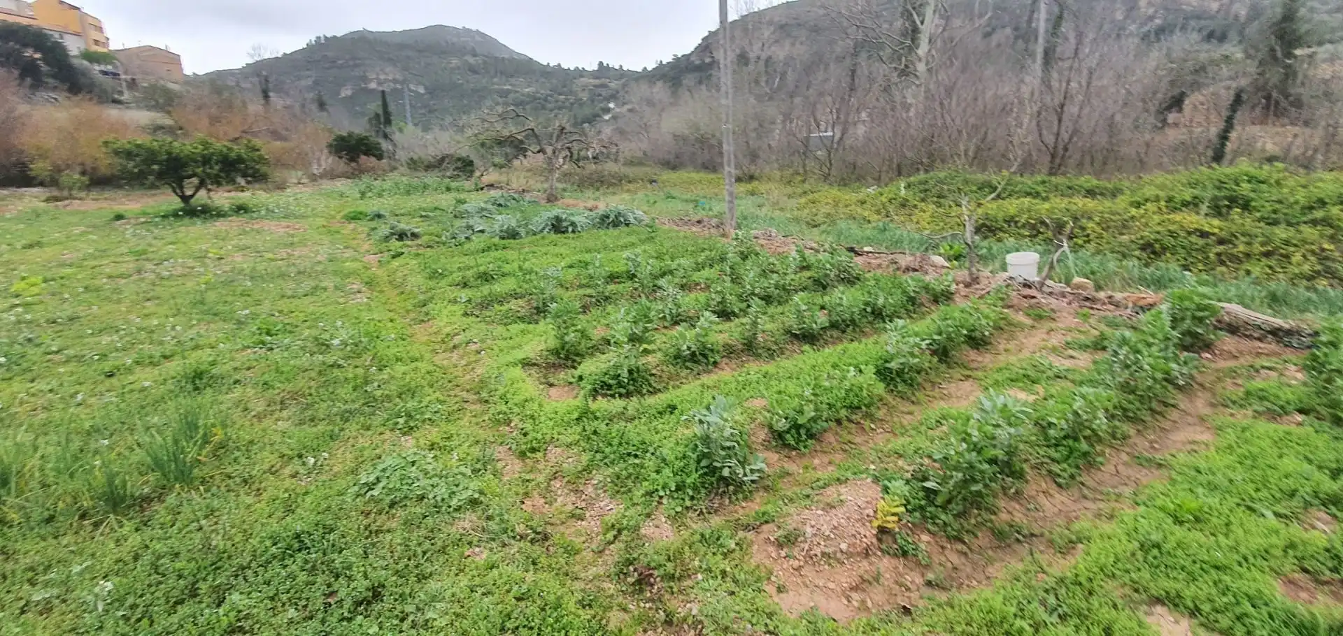 Casa o xalet en venda en Alfara de Carles
