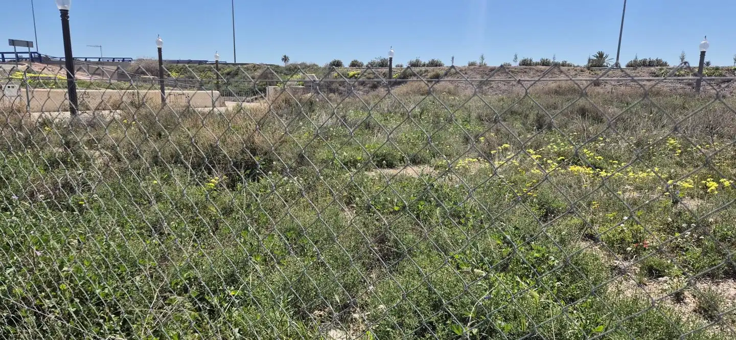 Grundstücke und Bauplätze zum Verkauf in Elche ciudad, imagen 29