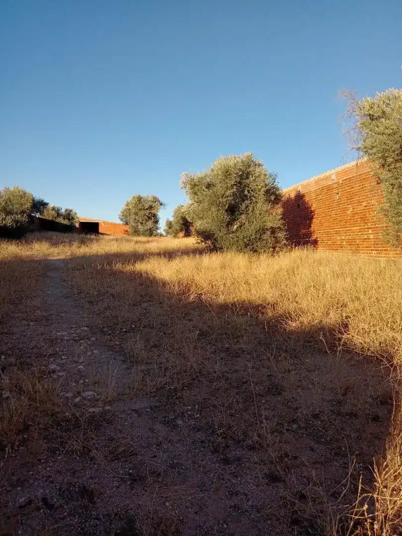 Finca rústica en venda en Gálvez