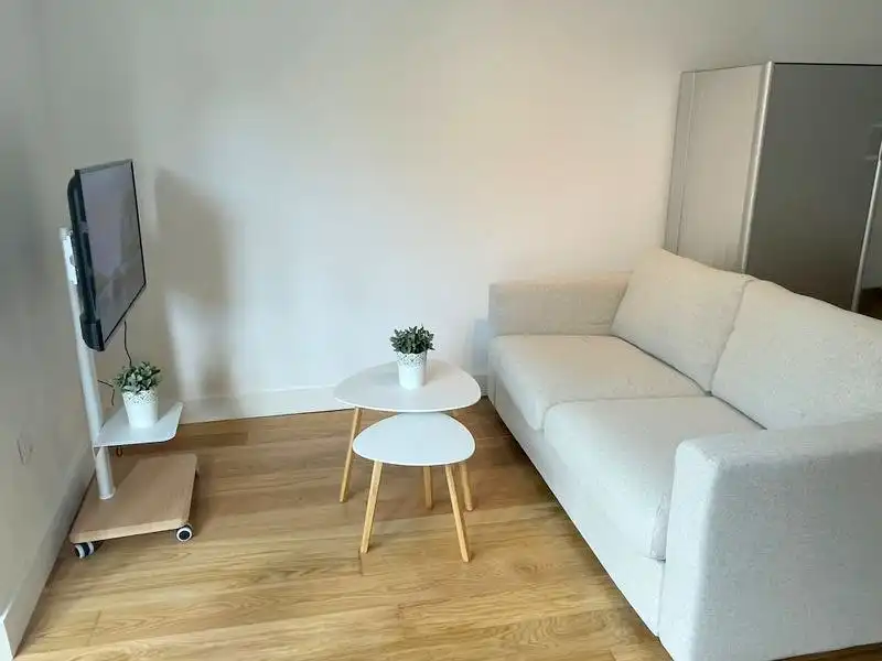 Sala de estar de Estudio de alquiler en Madrid con Aire acondicionado, Parquet y Amueblado