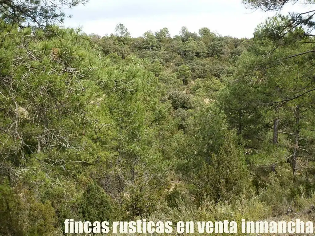 Terreni e lotti in vendita a Carboneras de Guadazaón, imagen 13