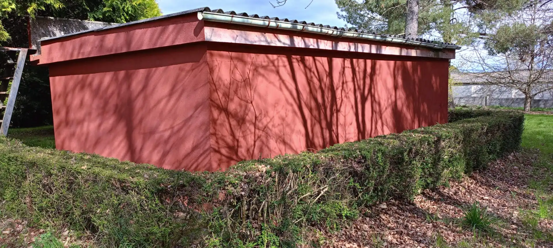 Vista exterior de Casa o chalet en venta en Guntín con Jardín privado
