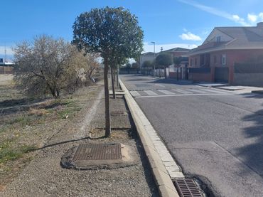 Wohnbaugrundstück zum Verkauf in Avinguda de la Segarra 27