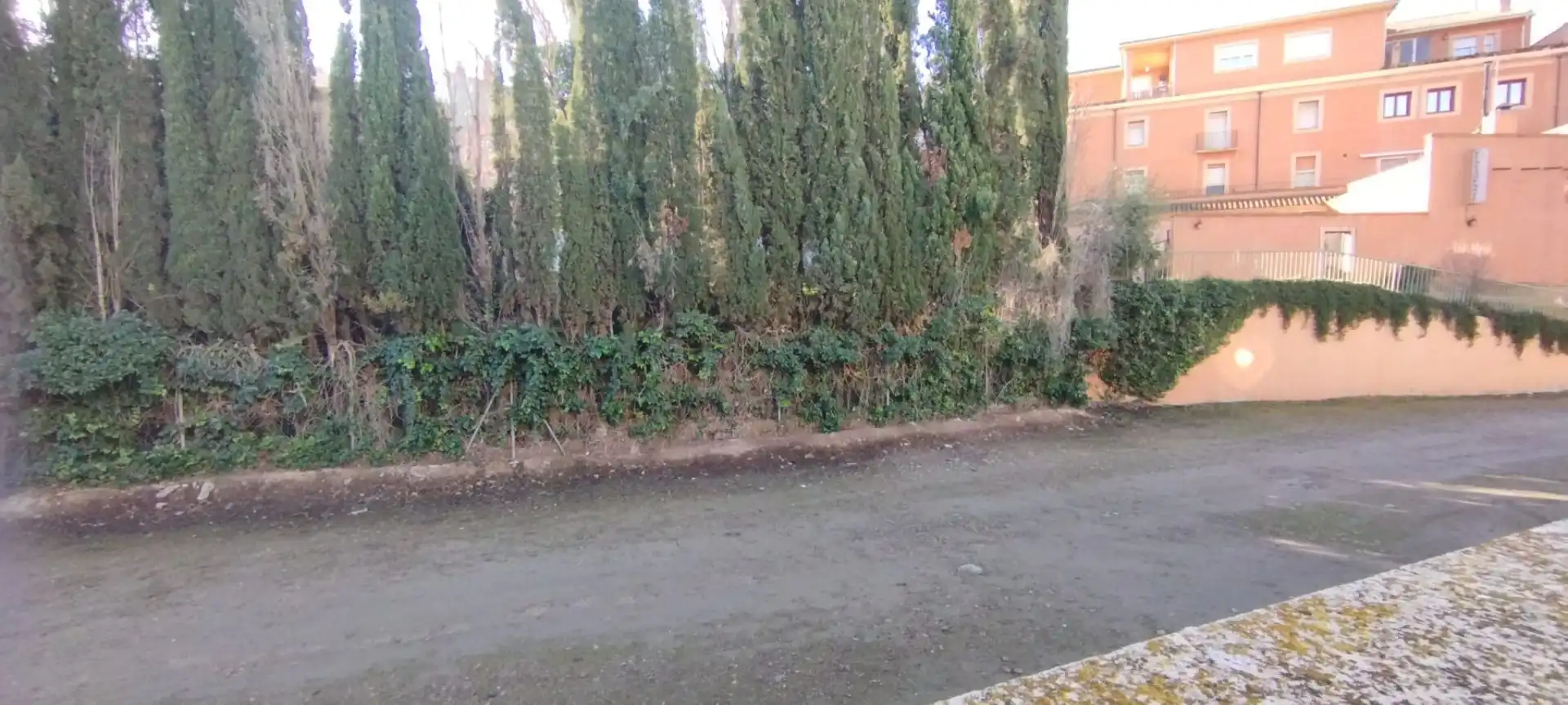 Local de alquiler en Gallur