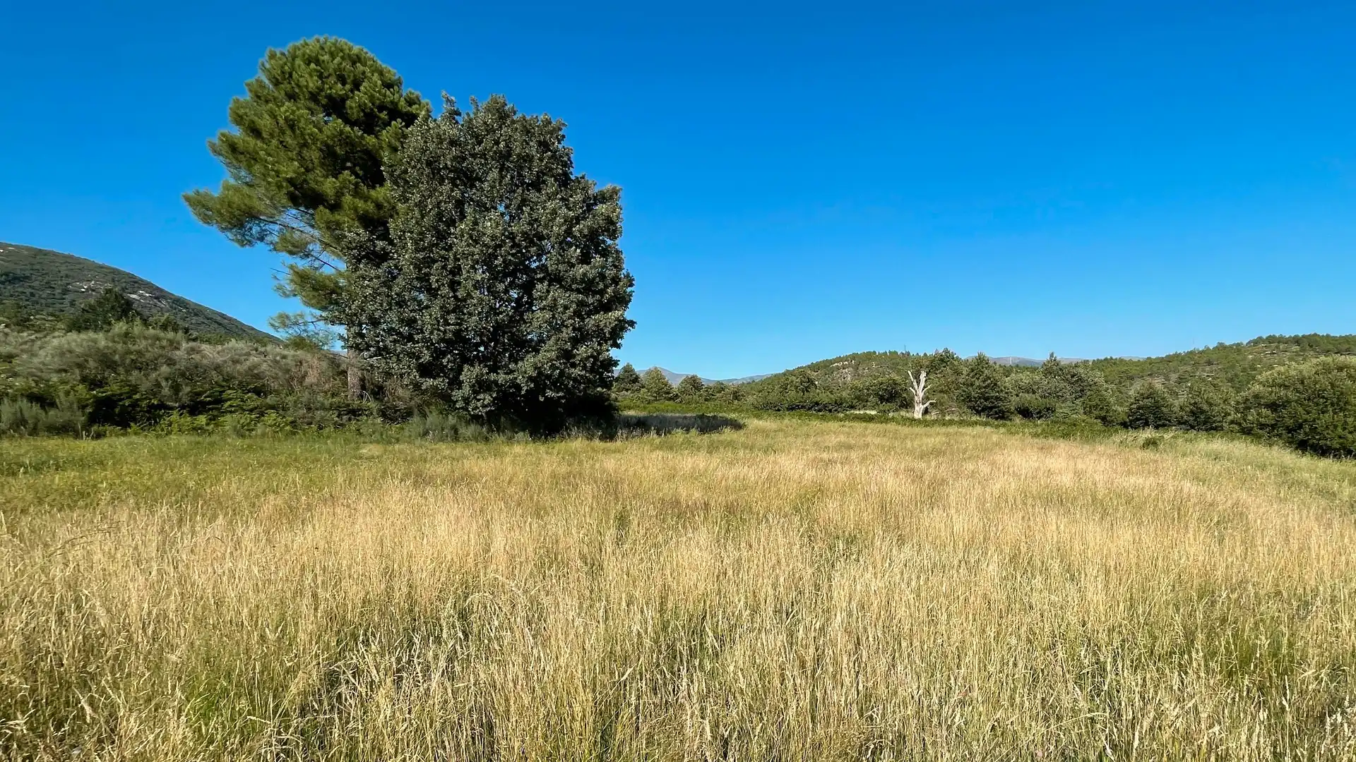 Grundstücke zum Verkauf in El Arenal 