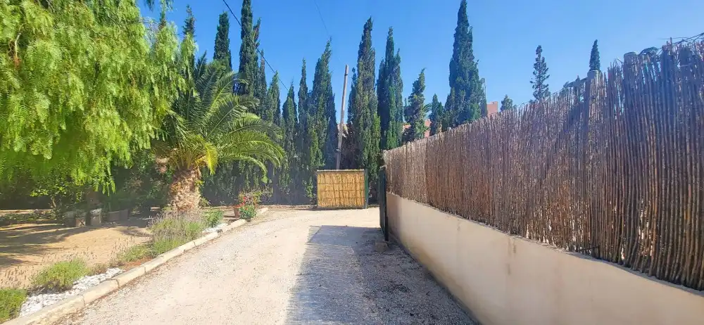 Vista exterior de Casa o chalet en venta en Novelda
