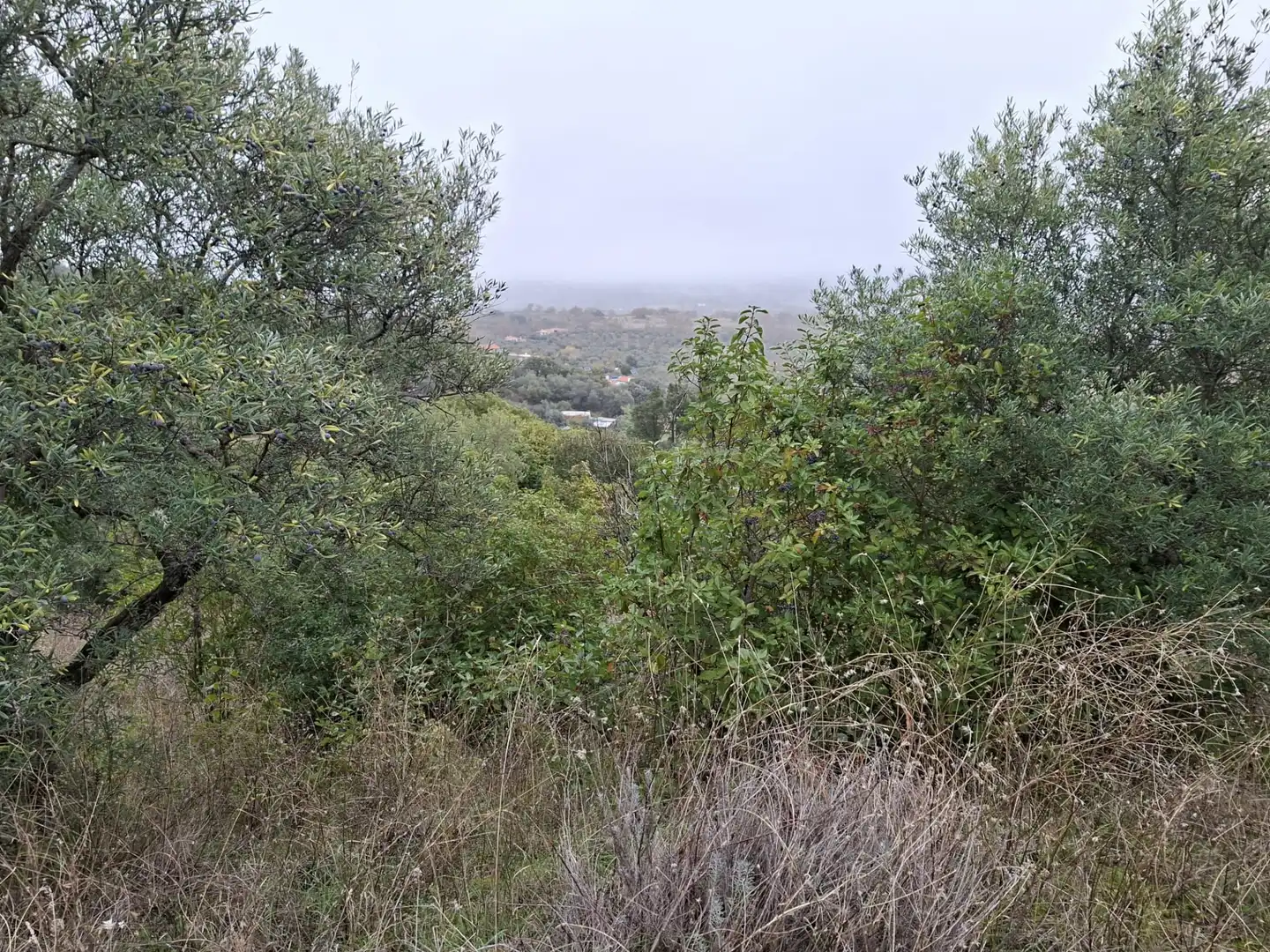 Terreni e lotti in vendita a Malpartida de Plasencia, imagen 6