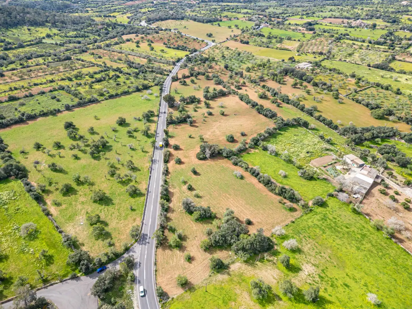 Rural land for sale in Felanitx Poble, imagen 30