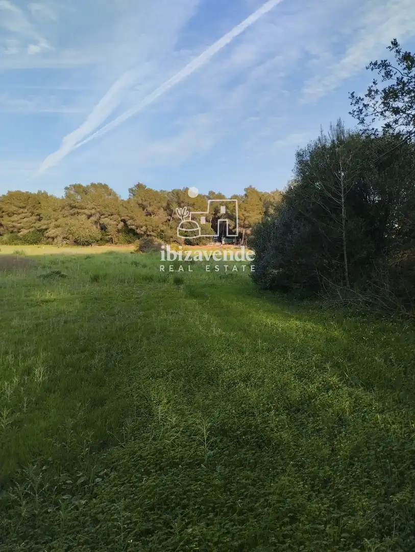 Rustikales Grundstück zum Verkauf in Poligono 9, imagen 6