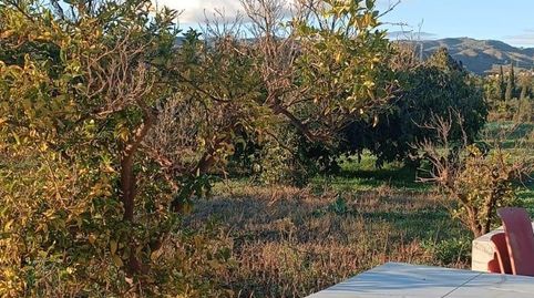 Foto 2 de Casa o chalet en venta en Nueva Aljaima - Las Tres Leguas - Los Mondeños, Cártama