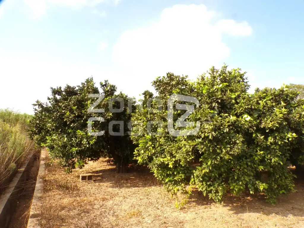 Country house for sale in Partida Marjaletes