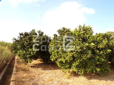 Country house for sale in Partida Marjaletes