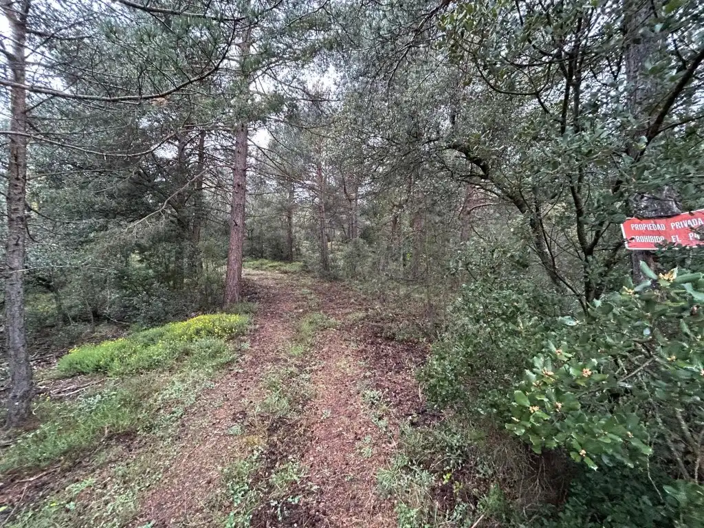 Country homes for sale in El Toro