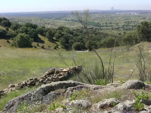 Lands and plots for sale in M-104 FINCA LA ENCINILLA (JUNQUER)