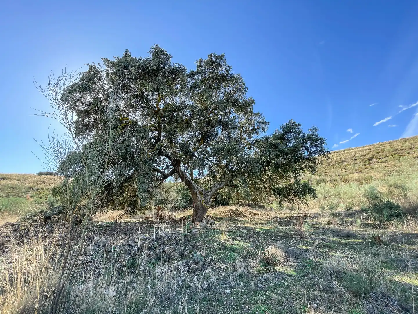Grundstücke zum Verkauf in Alhama de Granada