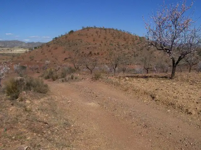 Terreno rustico in vendita a Pedanías Norte, imagen 2