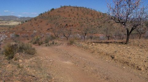 FINCA RÚSTICA EN ORTILLO, immagine 2