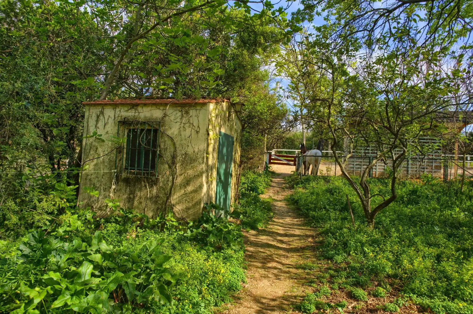 Vista exterior de Casa o xalet en venda en Sanlúcar la Mayor amb Aire condicionat, Jardí privat i Terrassa