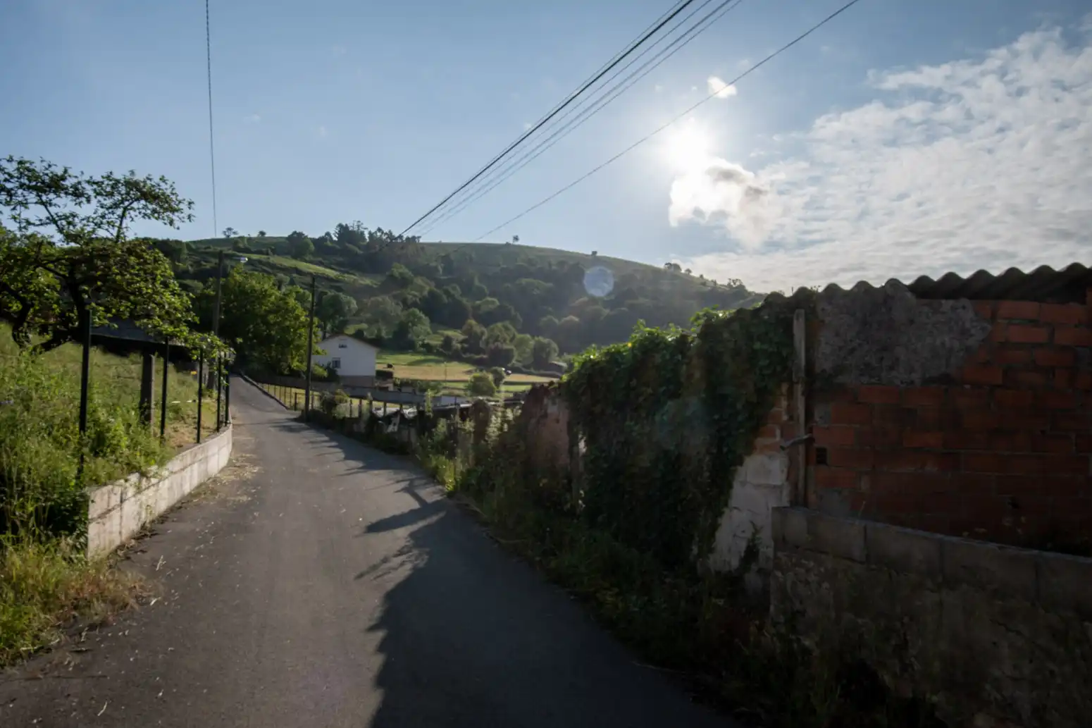 Terreny residencial en venda a San Román - San Roman, imagen 18
