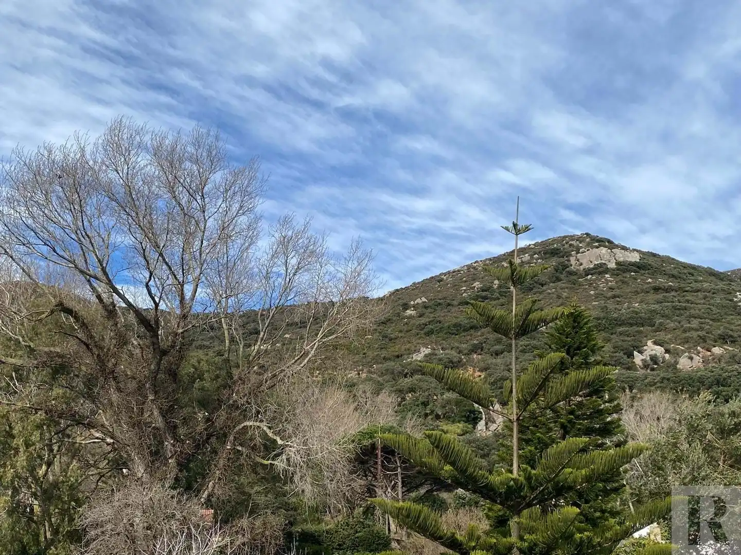 Haus zum Verkauf in Área "El Bornizo" . Lugar El Bujeo Tarifa CADIZ, imagen 51