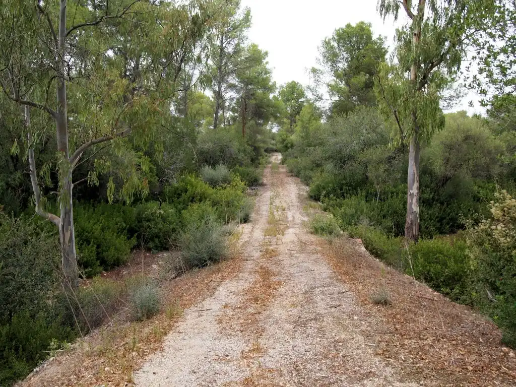 Grundstücke und Bauplätze zum Verkauf in Camino des campàs, imagen 6