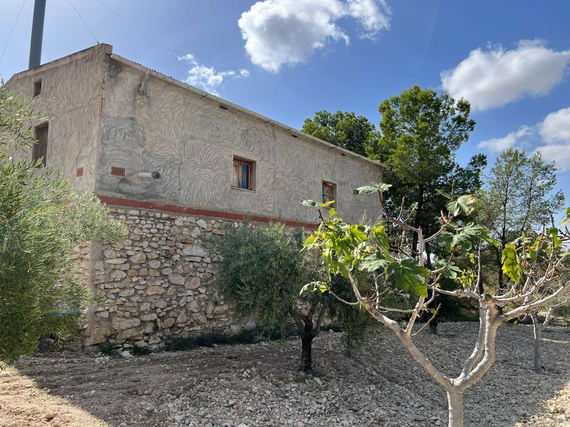 Vista exterior de Finca rústica en venda en Abanilla amb Jardí privat, Terrassa i Traster