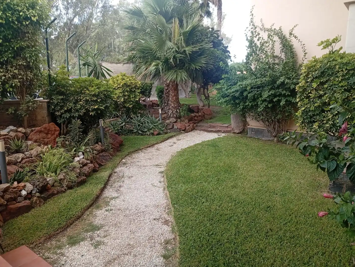 Jardín de Estudio de alquiler en Málaga con Terraza, Amueblado y Piscina comunitaria