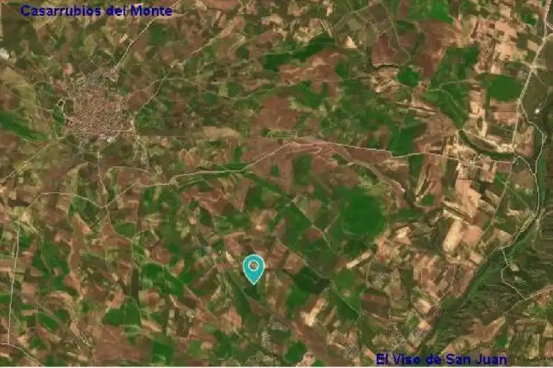 Rural land for sale in El Viso de San Juan