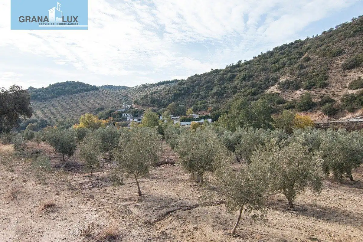 Country homes for sale in Loja