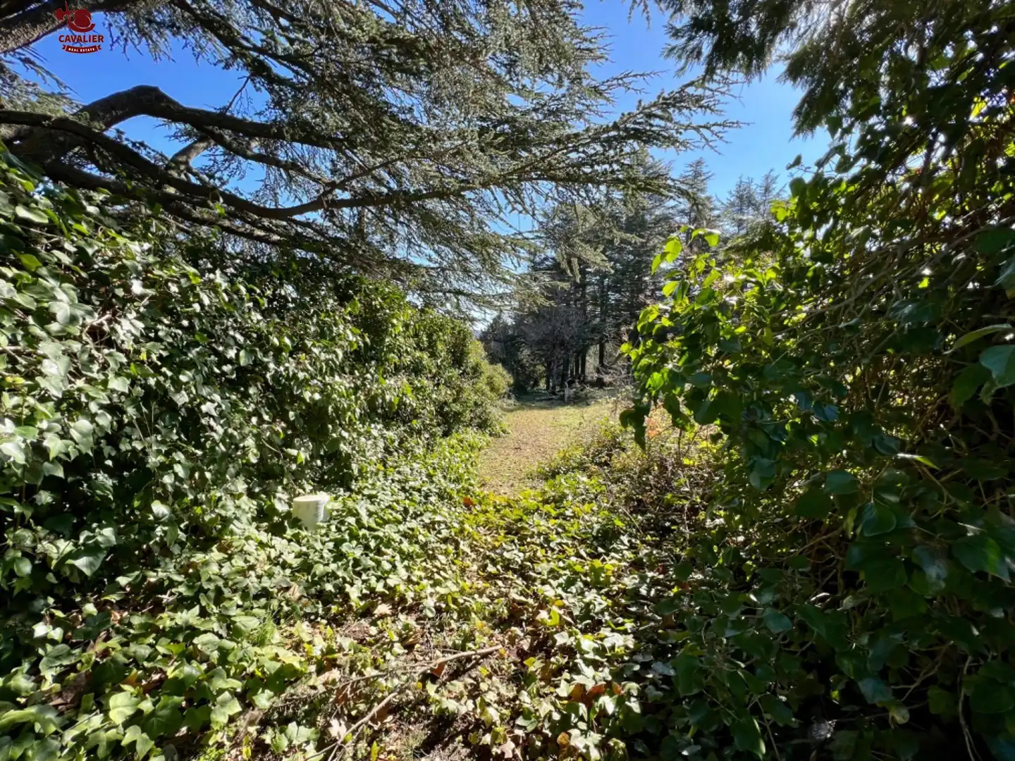 Wohnbaugrundstück zum Verkauf in Cercedilla, imagen 3