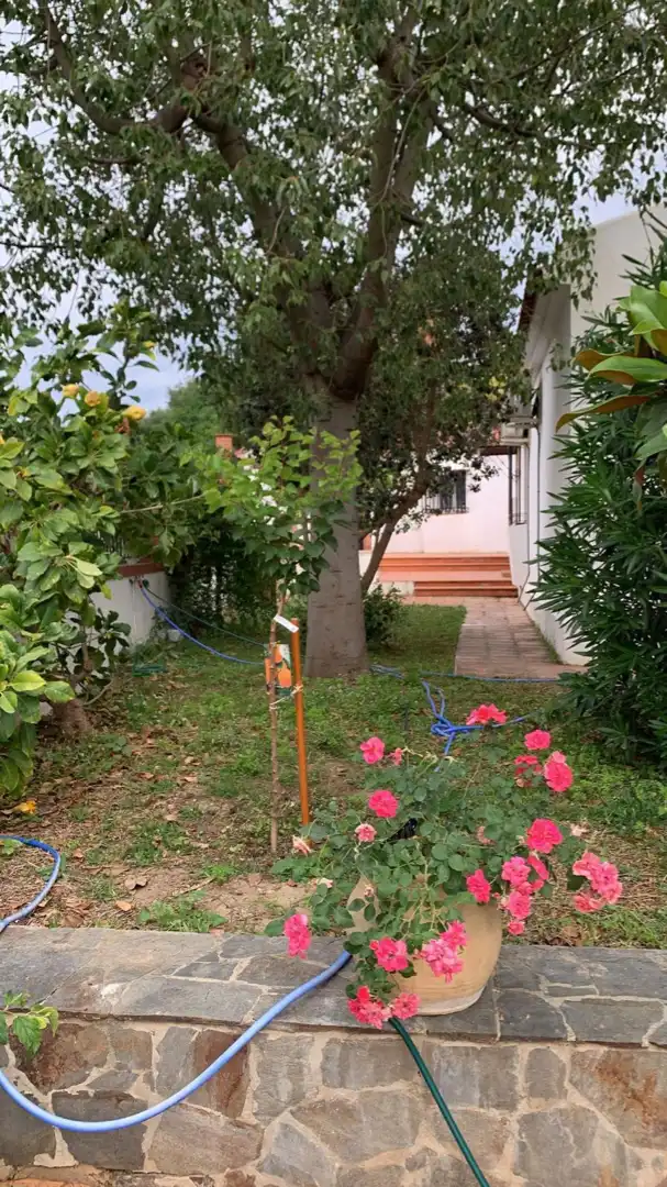 Jardín de Casa o chalet en venta en Alhaurín El Grande con Jardín privado, Terraza y Piscina