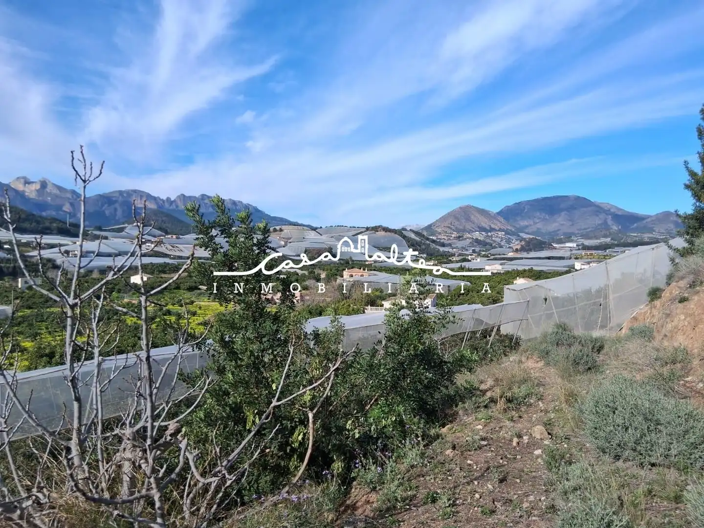Houses for sale in Callosa d'en Sarrià