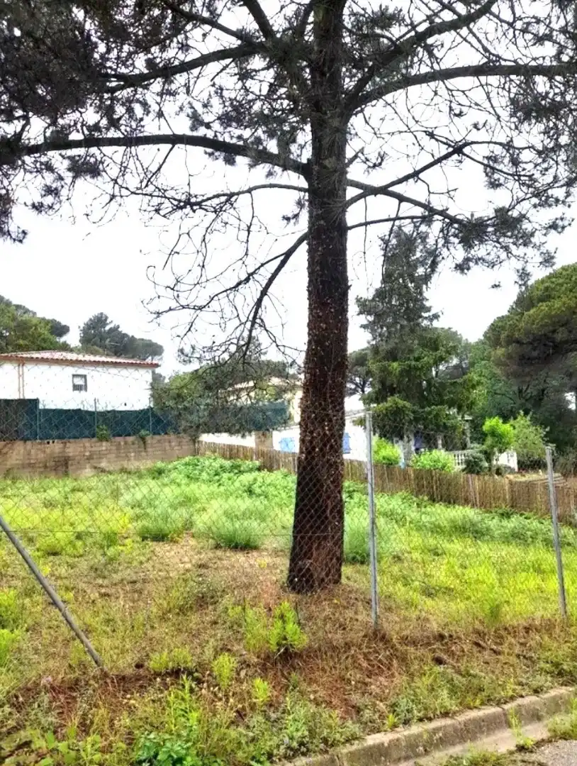 Terreno residencial en venta en Carrer Verge, imagen 5