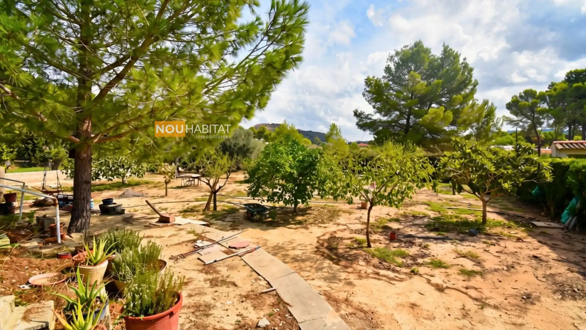 Villa con giardino in vendita a Montserrat, imagen 26