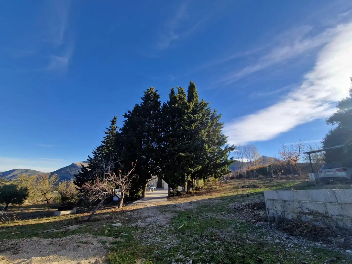 Vista exterior de Finca rústica en venta en Torres con Jardín privado