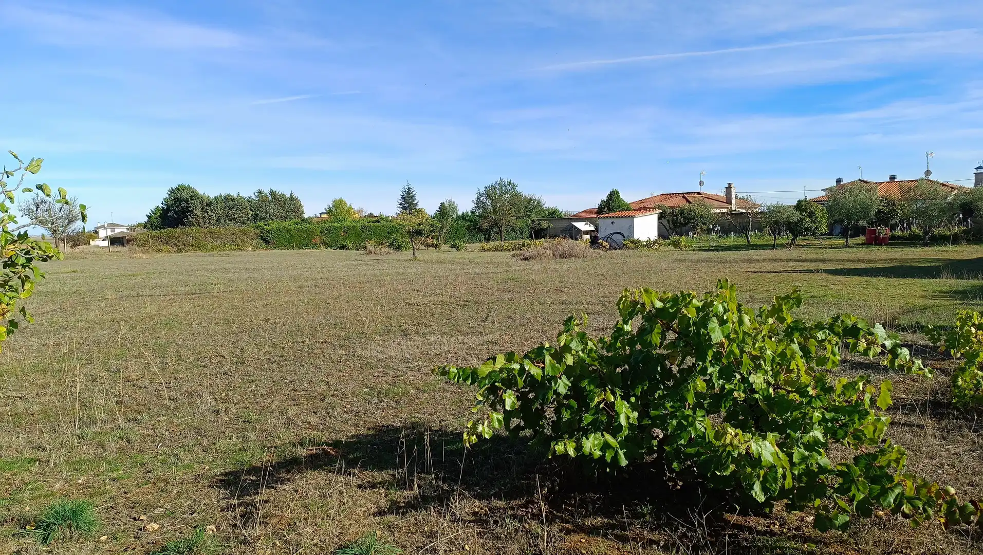 Terreno rustico in vendita a Castellanos de Villiquera, imagen 6
