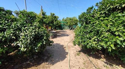 Foto 2 de Residencial en venda a Vereda del Chapitel, Centro, Chipiona