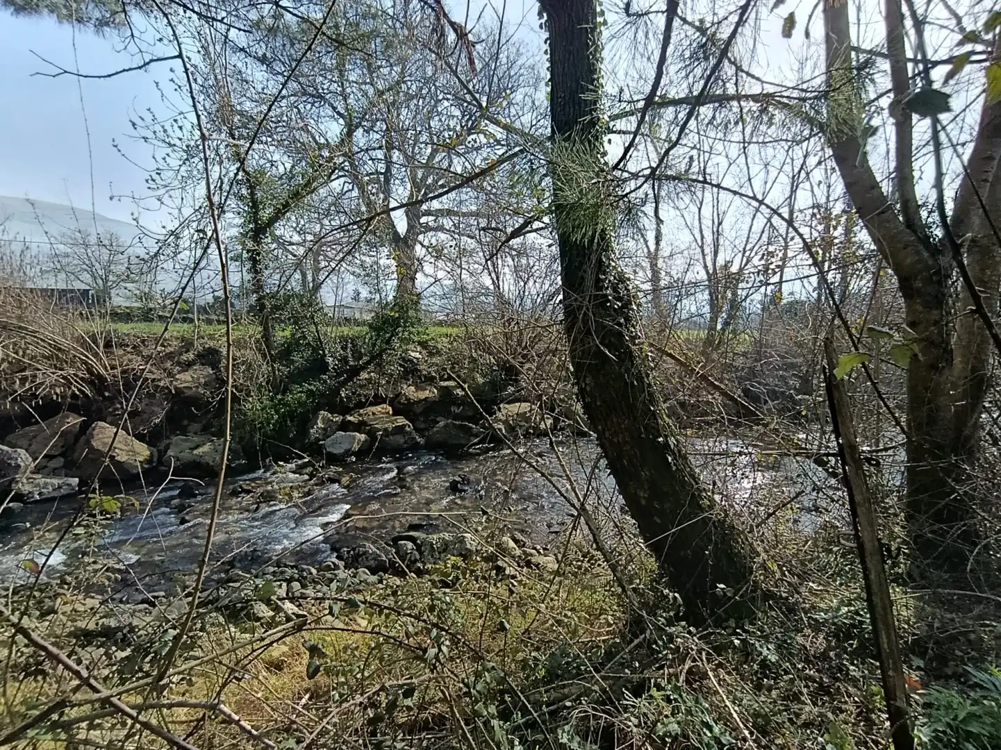 Terreni e lotti in vendita a Selaya - LA MIES, imagen 15