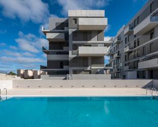 Swimming pool of Flat to rent in Las Palmas de Gran Canaria