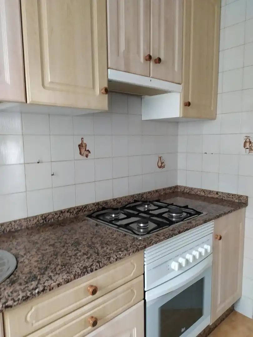 Kitchen of Apartments for rent in Pontevedra Capital   with Heating, Parquet flooring and Furnished
