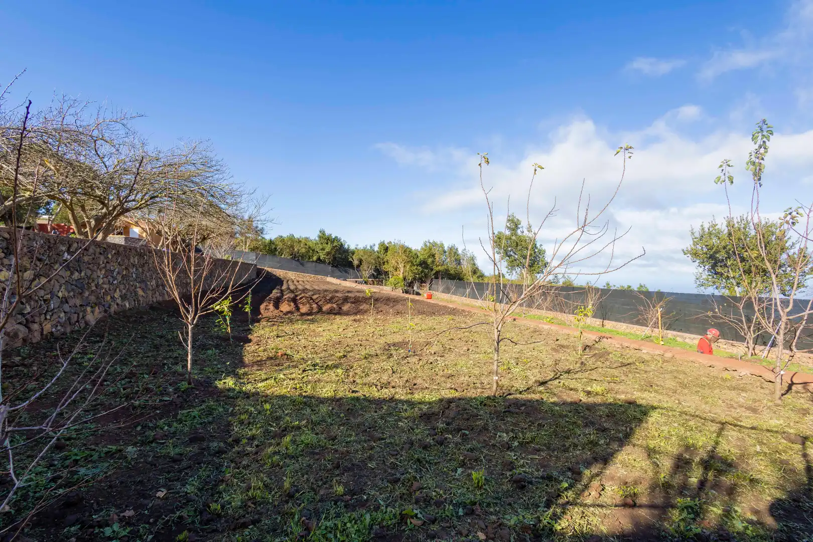 Finca rústica en venda en El Tanque amb Calefacció, Jardí privat i Terrassa