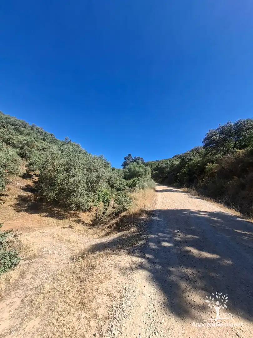 Land for sale in Las Navas de la Concepción