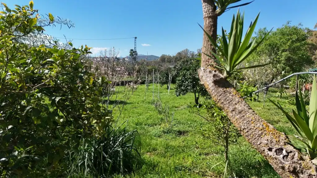 Xalet amb piscina en venda a Coín, imagen 11