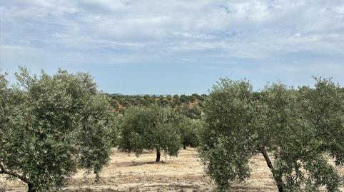 Foto 4 de Residencial en venta en De la Doctora, Alameda, Málaga