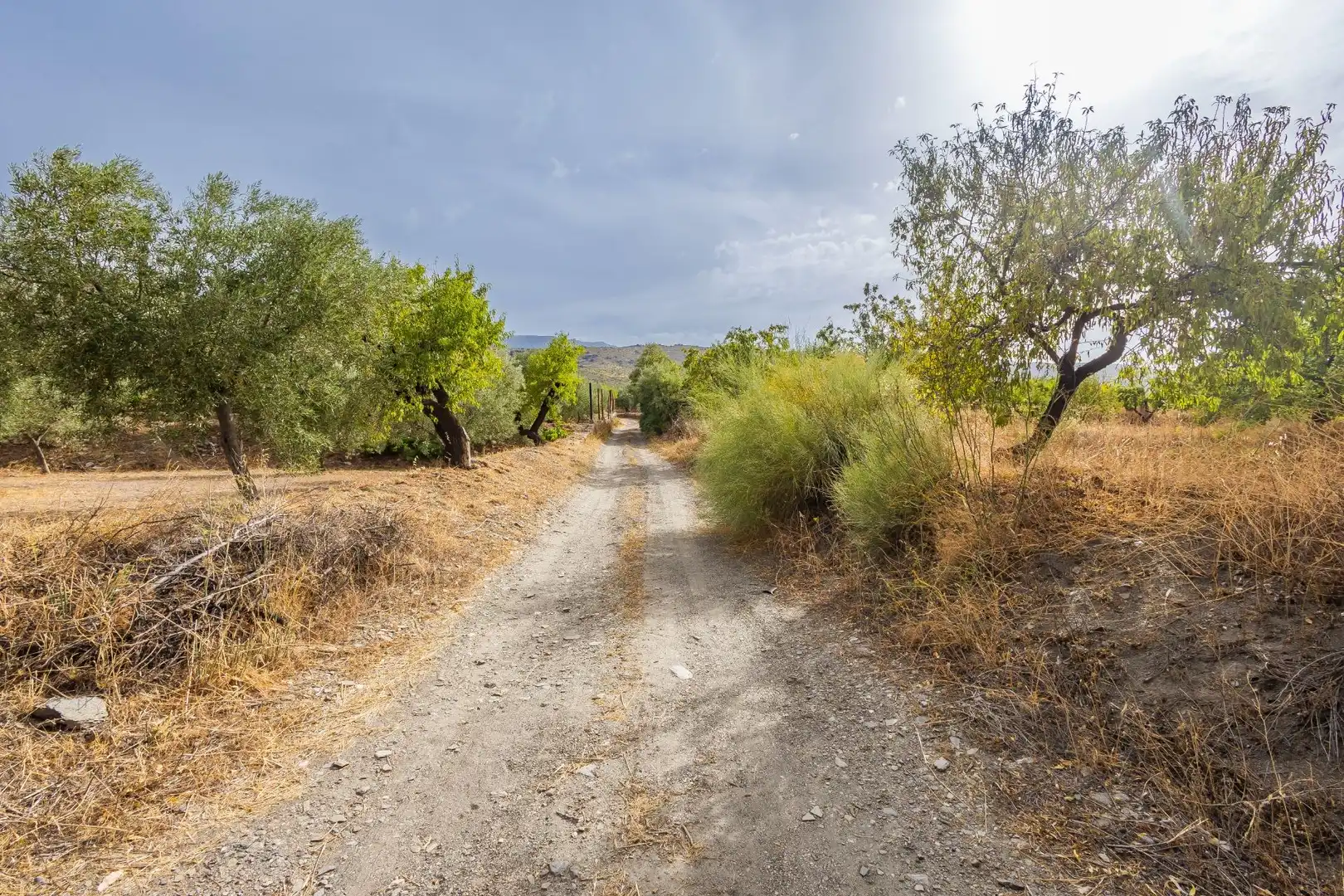Country homes for sale in Abrucena  with Storage room